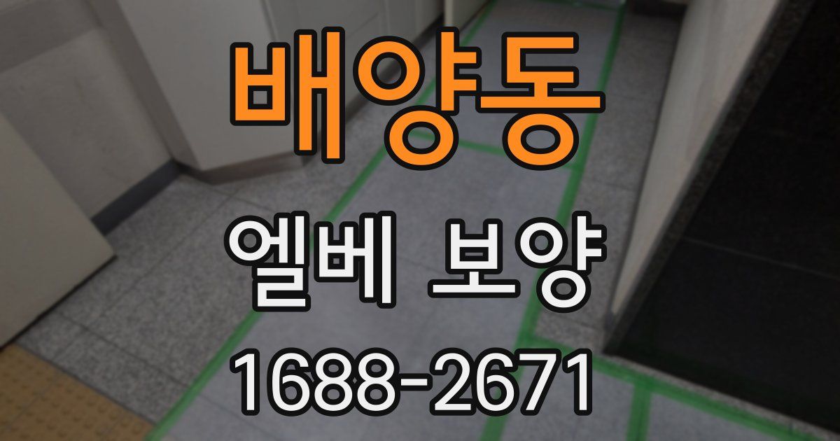 배양동 엘베 보양