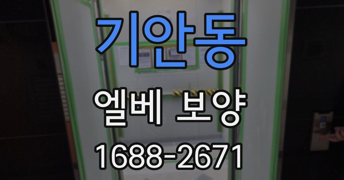 기안동 엘베 보양