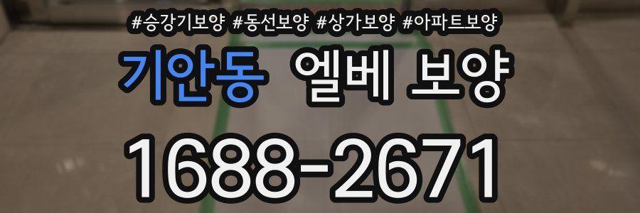 기안동 엘베 보양