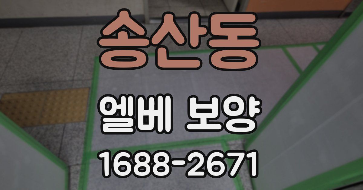 송산동 엘베 보양