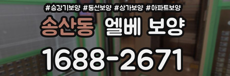 송산동 엘베 보양