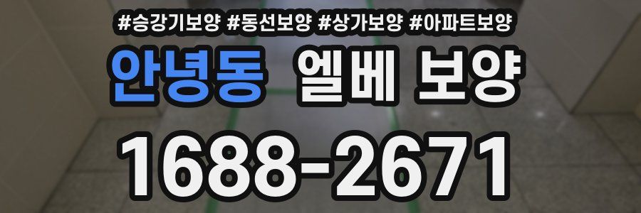 안녕동 엘베 보양