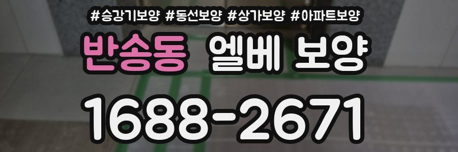 반송동 엘베 보양