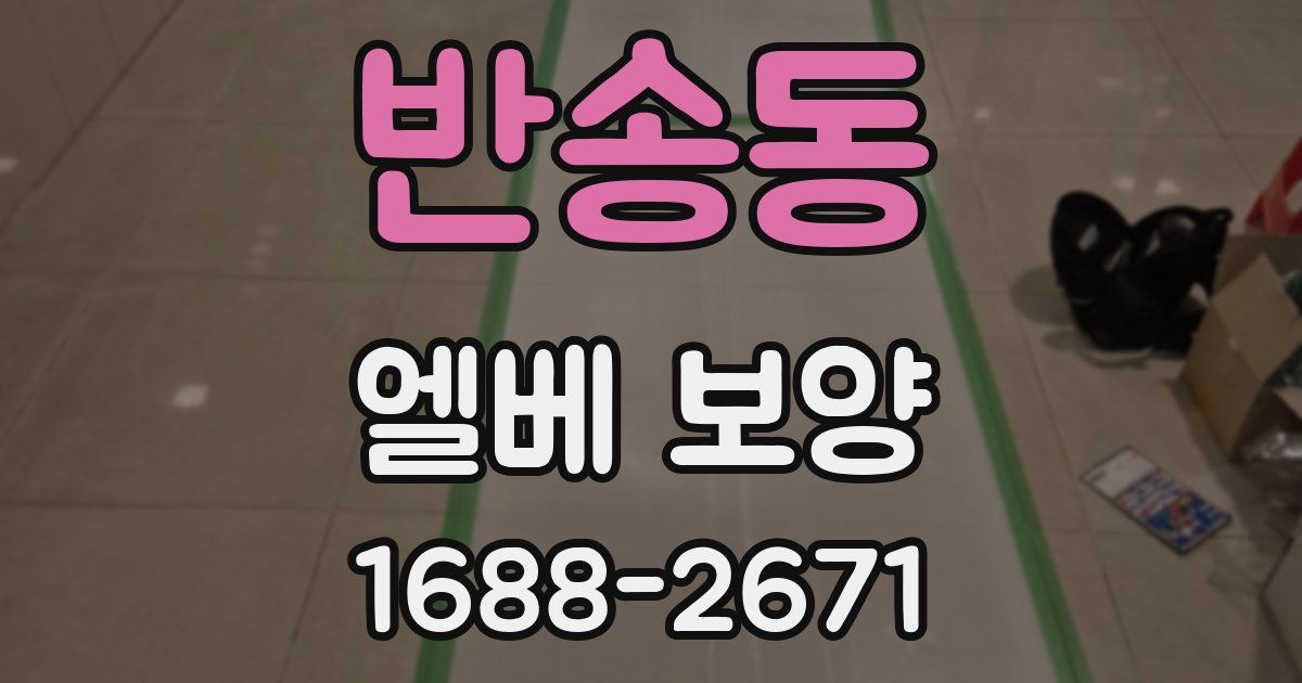 반송동 엘베 보양