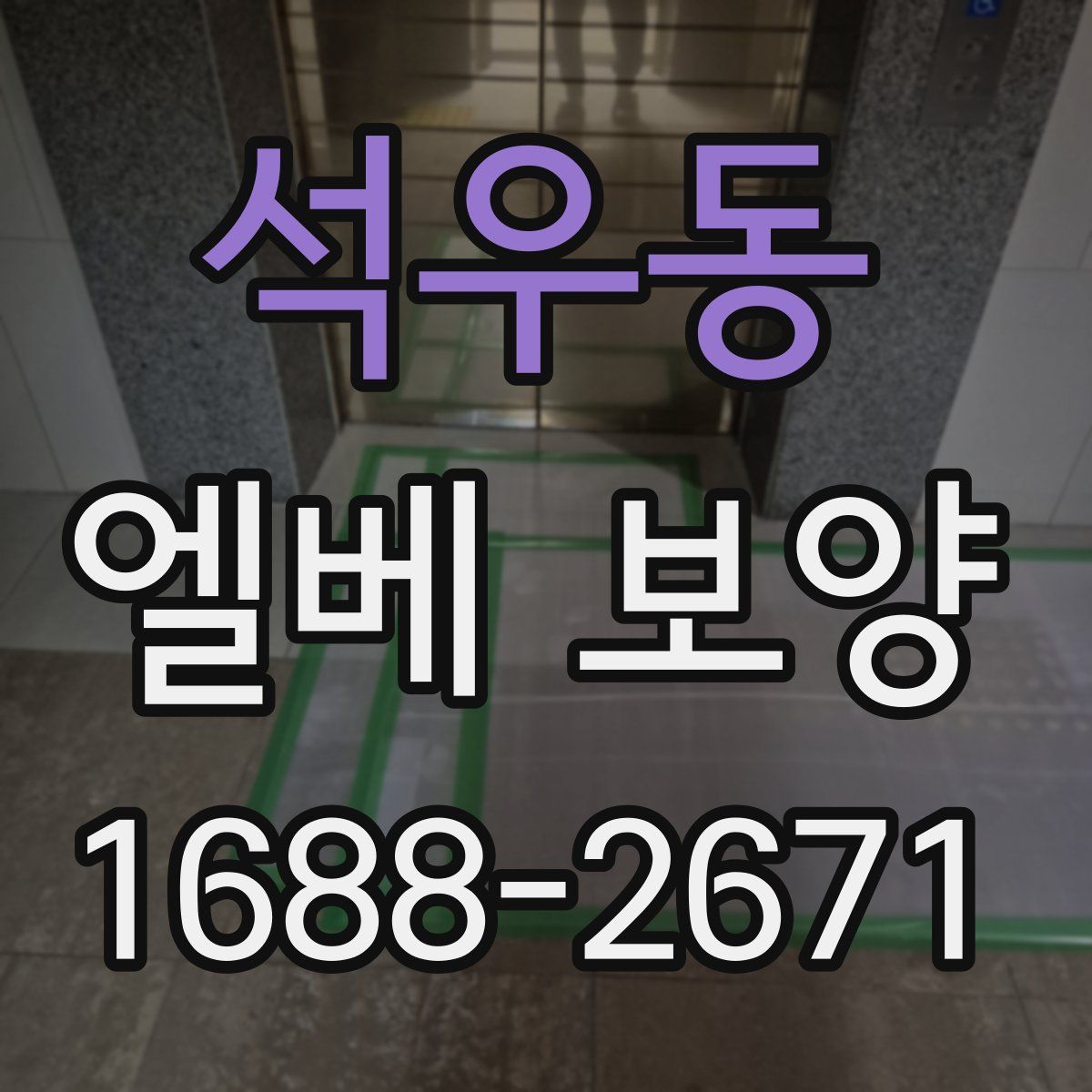 석우동 엘베 보양
