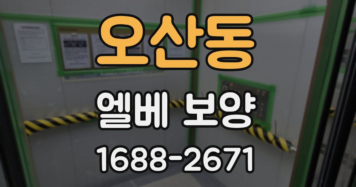 오산동 엘베 보양