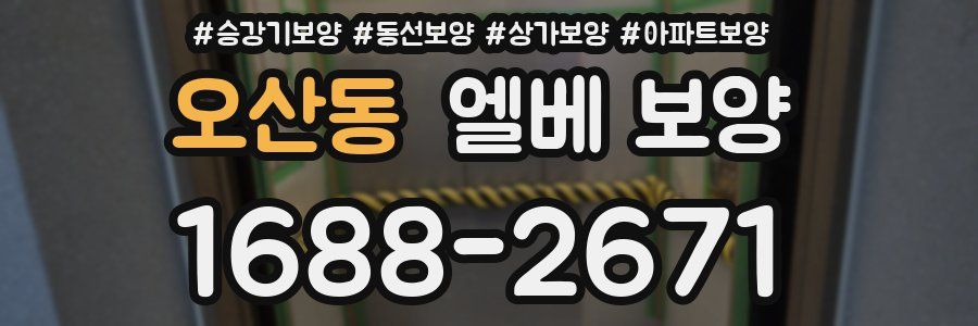 오산동 엘베 보양