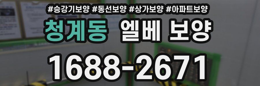 청계동 엘베 보양