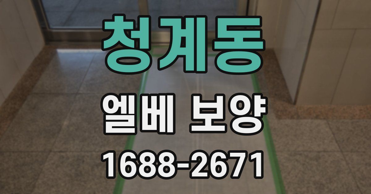 청계동 엘베 보양