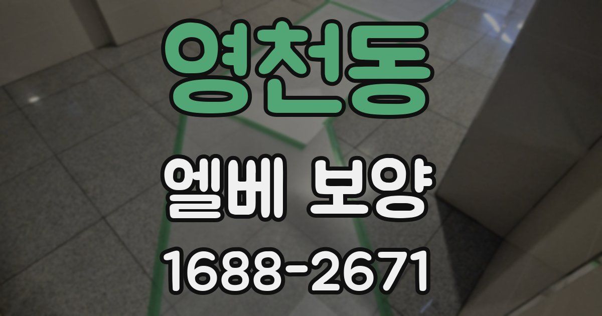 영천동 엘베 보양