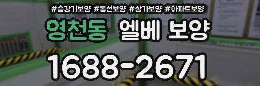 영천동 엘베 보양