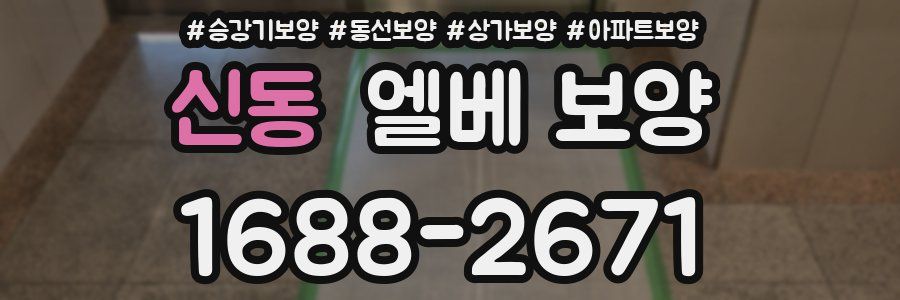 신동 엘베 보양