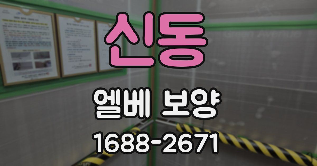 신동 엘베 보양