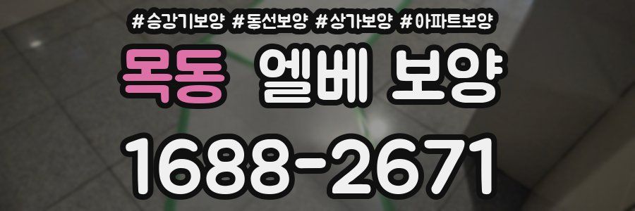 목동 엘베 보양