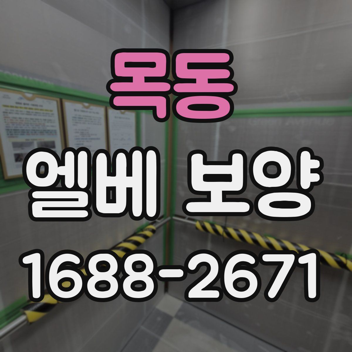 목동 엘베 보양