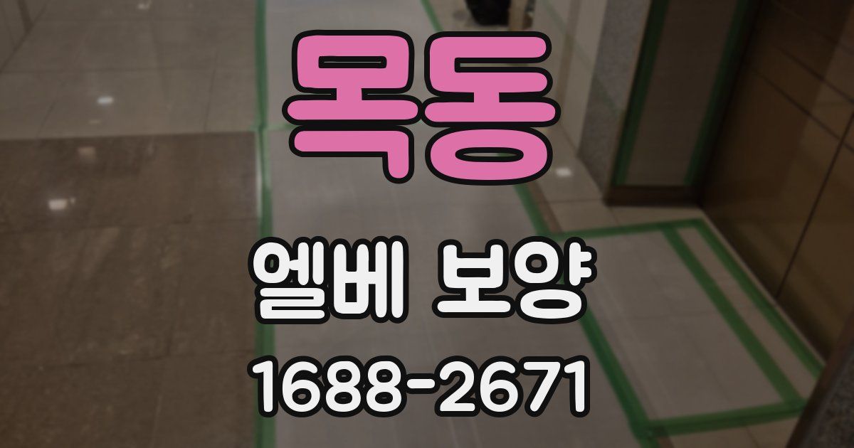 목동 엘베 보양