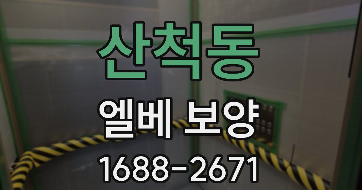 산척동 엘베 보양