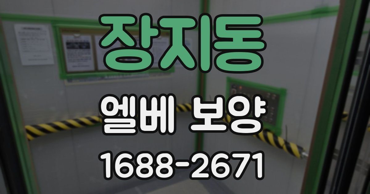 장지동 엘베 보양
