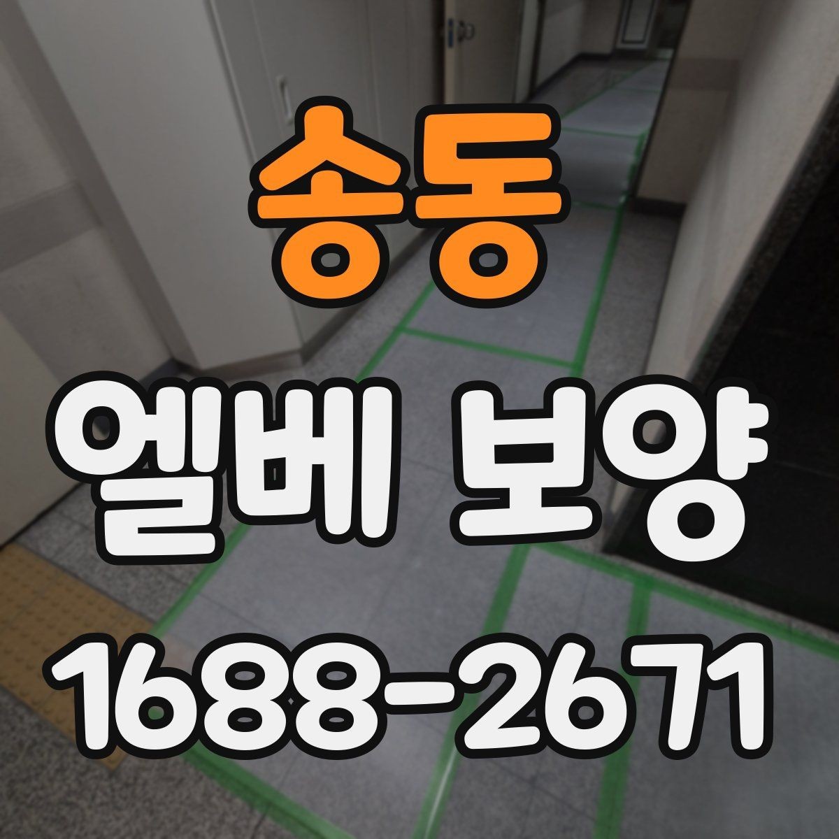 송동 엘베 보양 계절별 오염 패턴에 맞춘 관리 전략