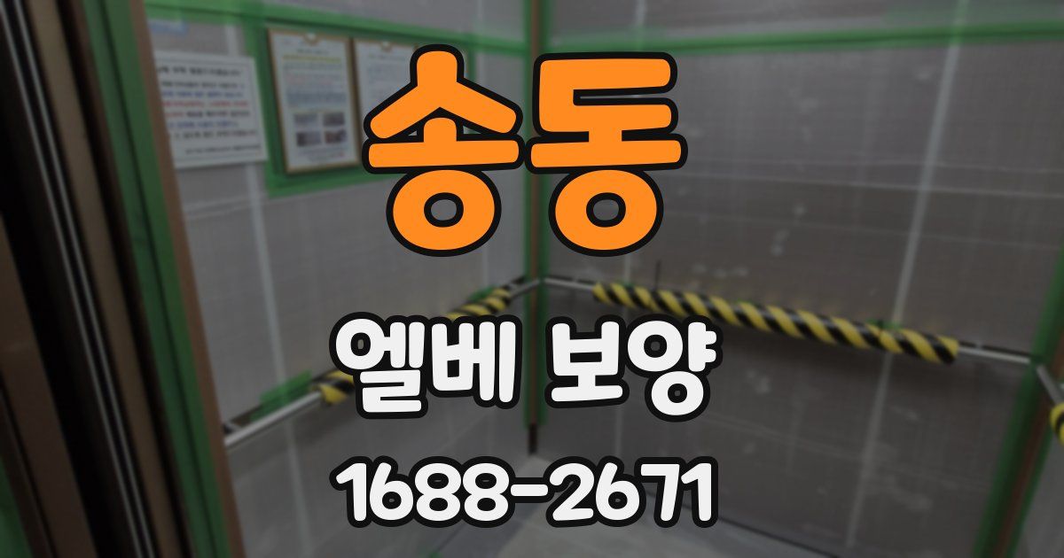 송동 엘베 보양