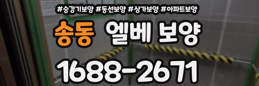 송동 엘베 보양