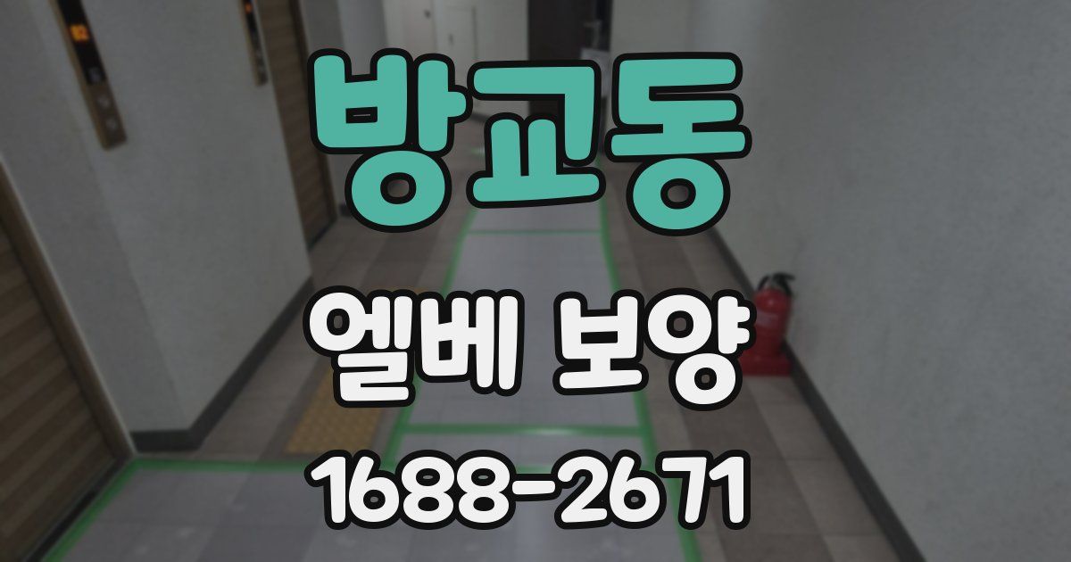 방교동 엘베 보양