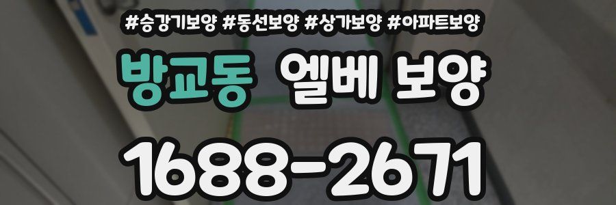 방교동 엘베 보양