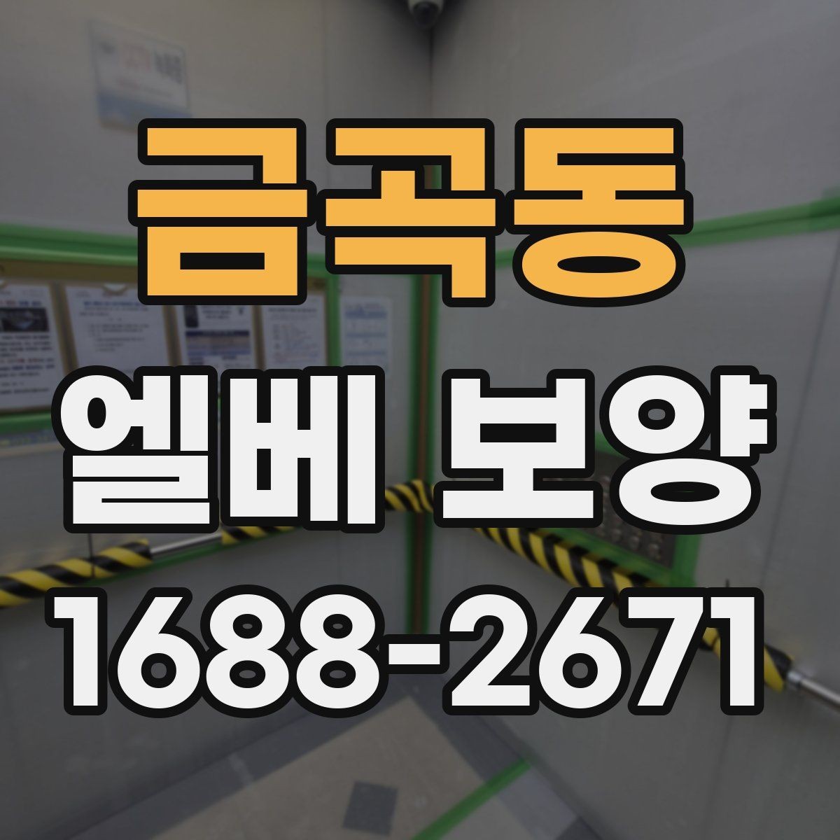 금곡동 엘베 보양 층간 이동이 잦은 현장 대응법