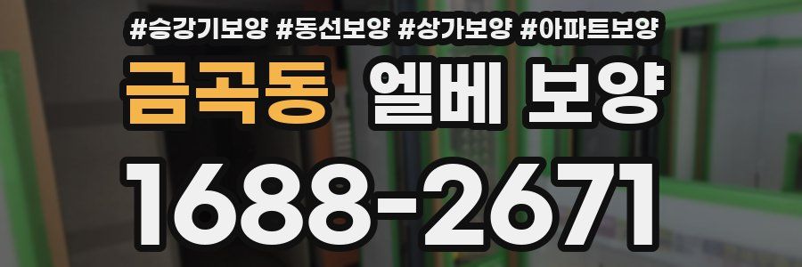 금곡동 엘베 보양