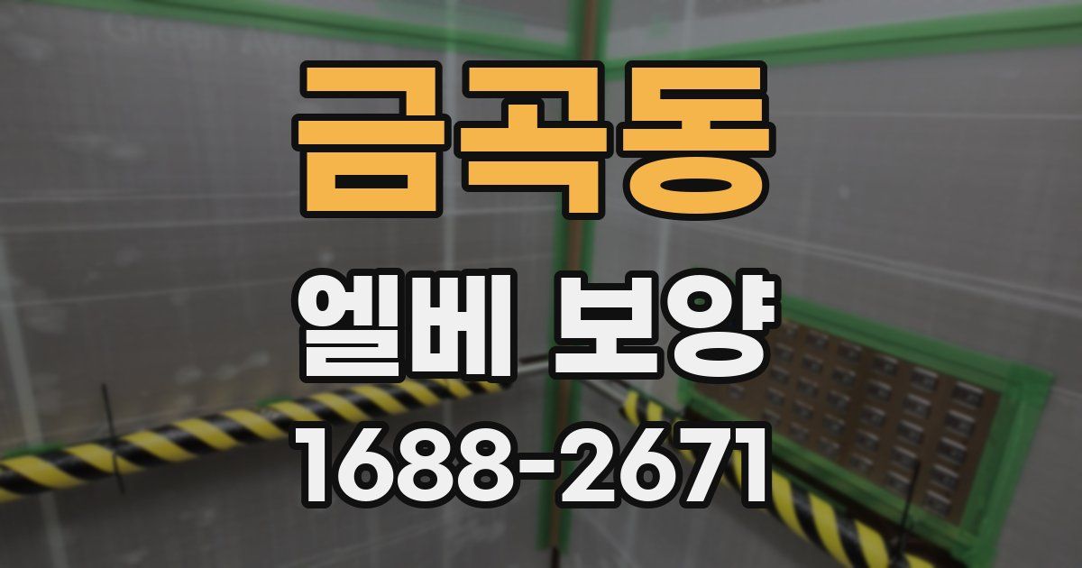 금곡동 엘베 보양