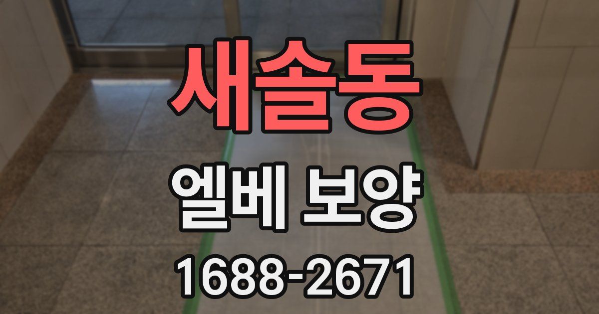 새솔동 엘베 보양