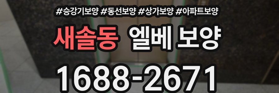 새솔동 엘베 보양