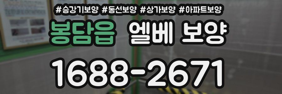 봉담읍 엘베 보양