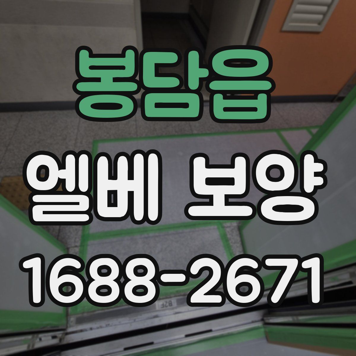 봉담읍 엘베 보양