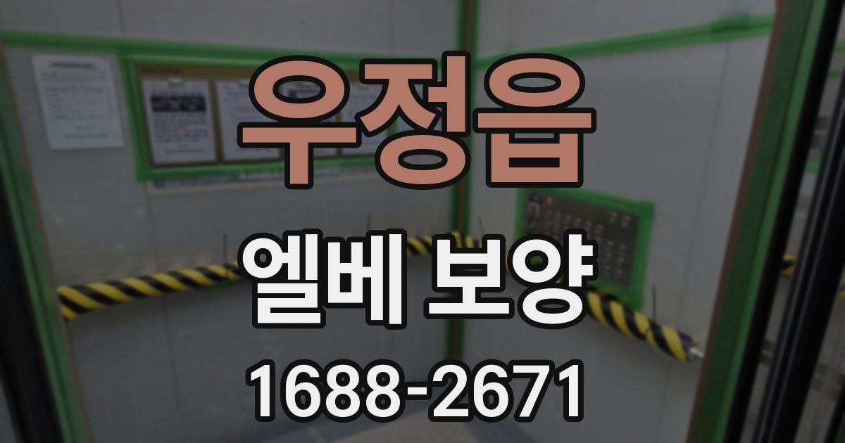 우정읍 엘베 보양