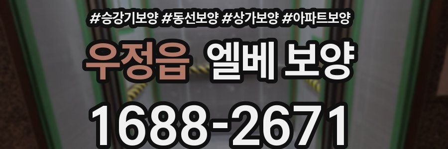 우정읍 엘베 보양