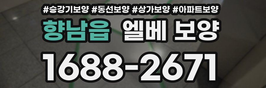 향남읍 엘베 보양