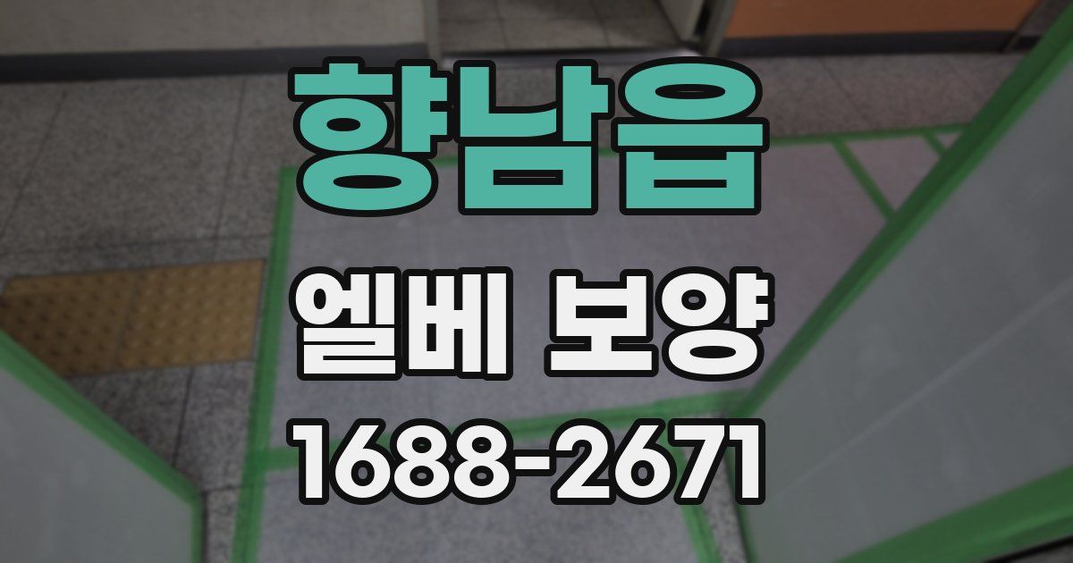 향남읍 엘베 보양