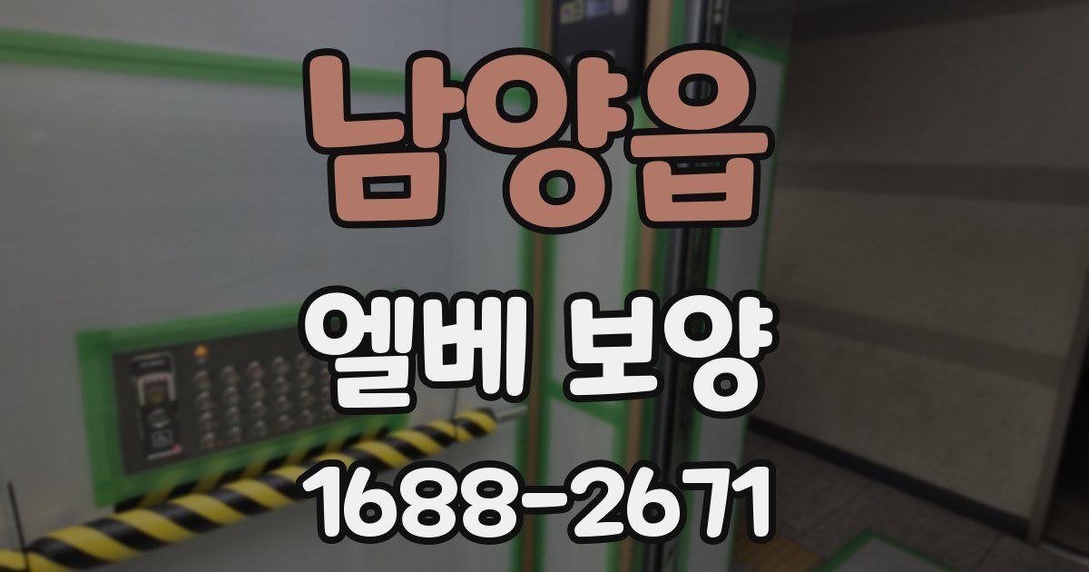 남양읍 엘베 보양