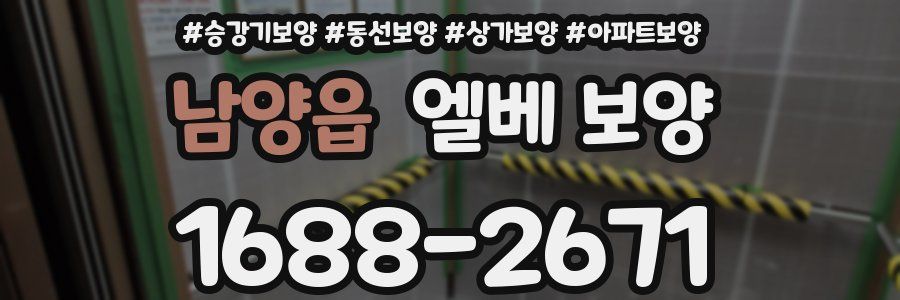 남양읍 엘베 보양