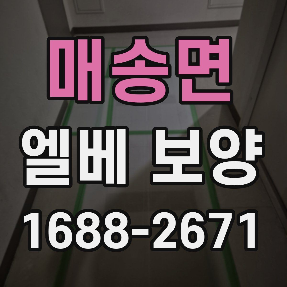 매송면 엘베 보양 유리 패널 있는 승강기에서 확인할 점