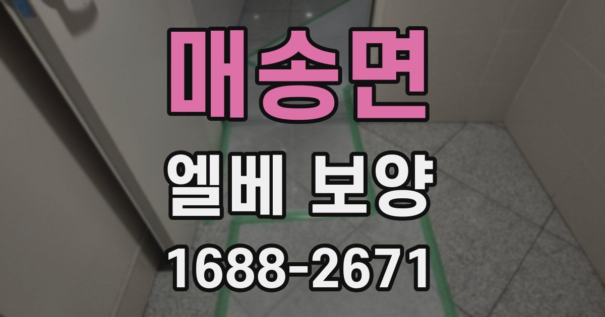 매송면 엘베 보양