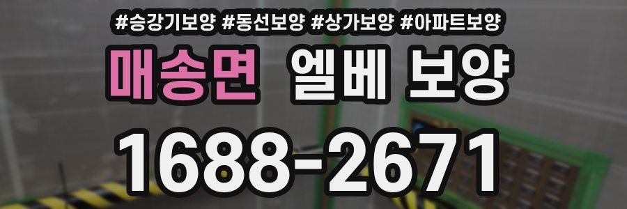 매송면 엘베 보양