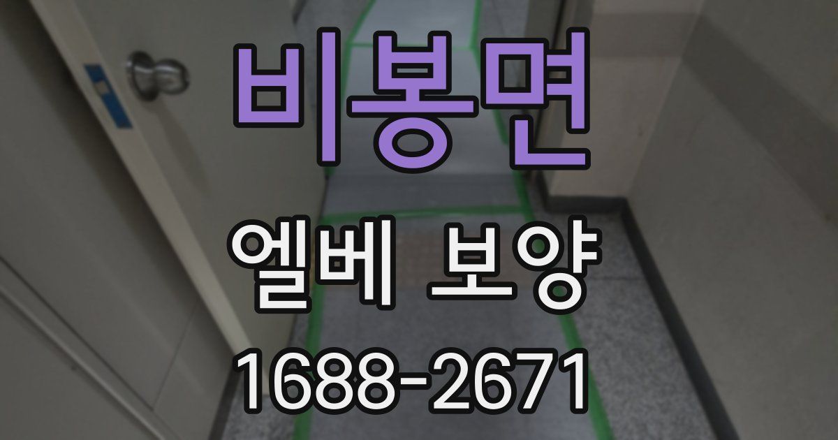 비봉면 엘베 보양