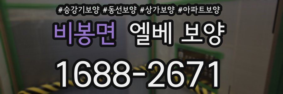 비봉면 엘베 보양