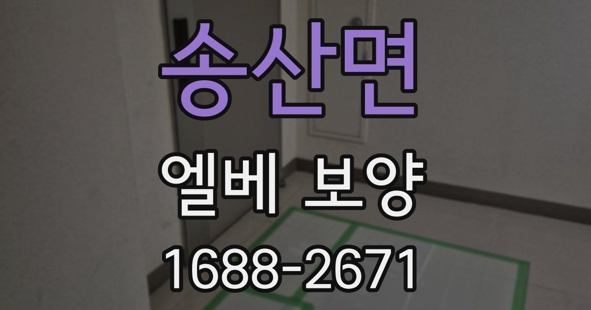 송산면 엘베 보양