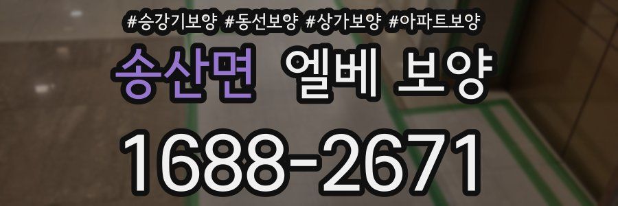 송산면 엘베 보양