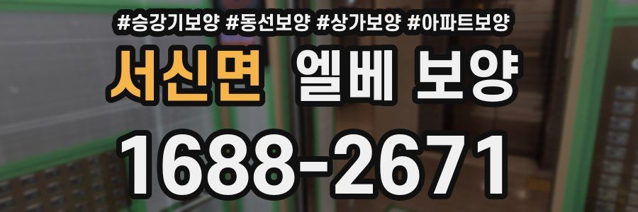 서신면 엘베 보양