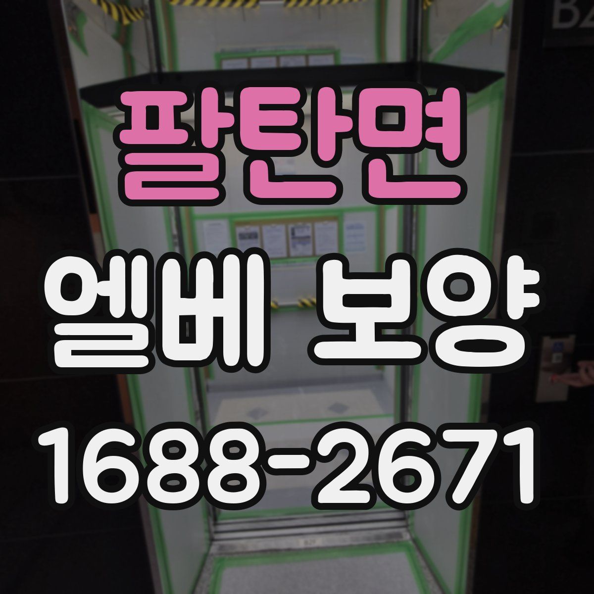 팔탄면 엘베 보양