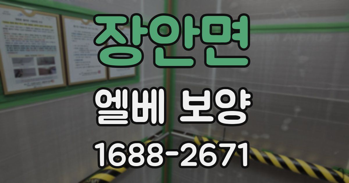 장안면 엘베 보양
